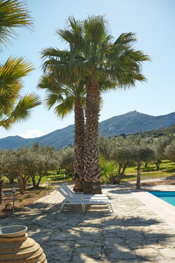 The Olive Grove Cottage With Private Swimming Pool Archanes Exterior photo