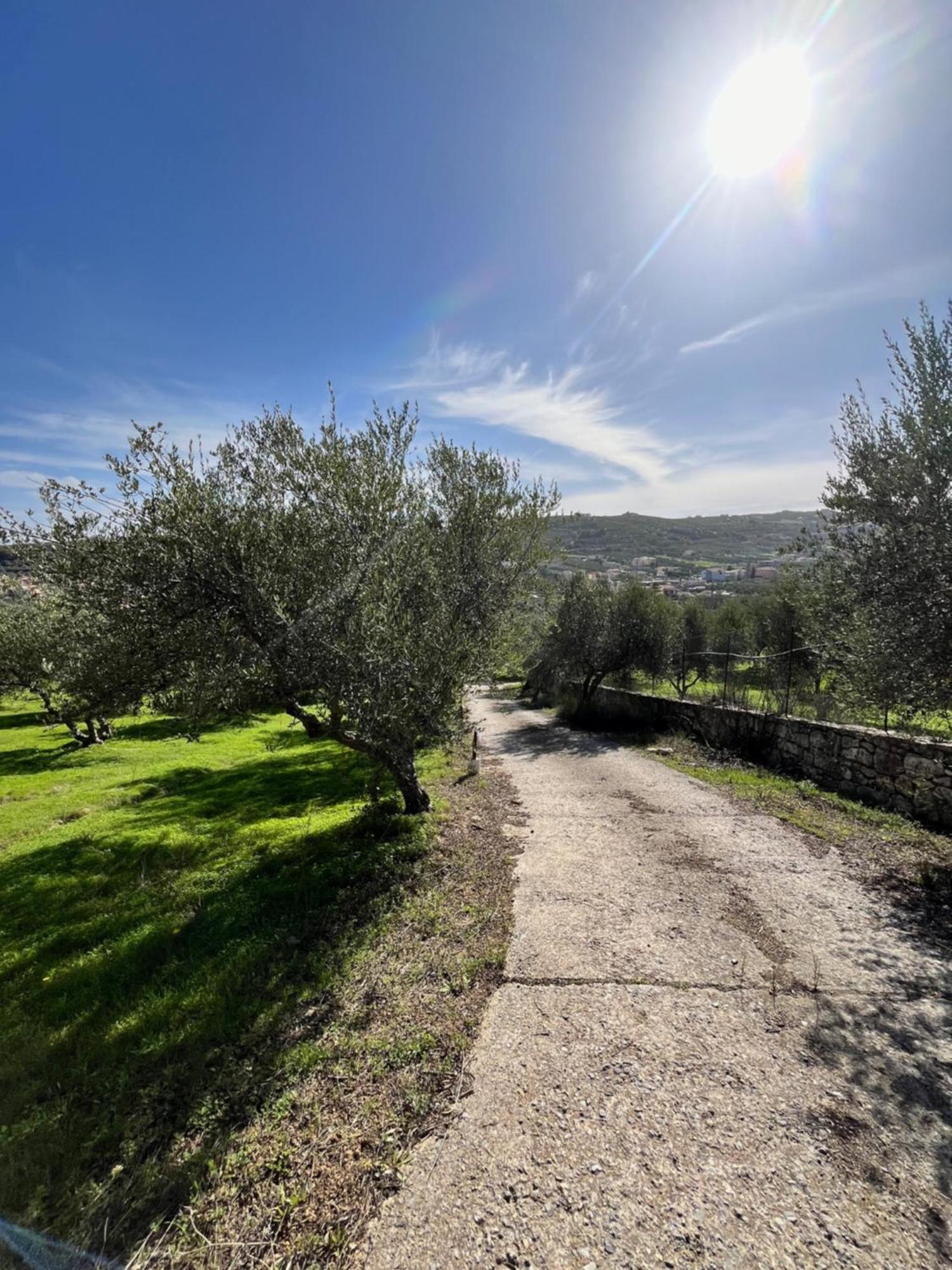 The Olive Grove Cottage With Private Swimming Pool Archanes Exterior photo