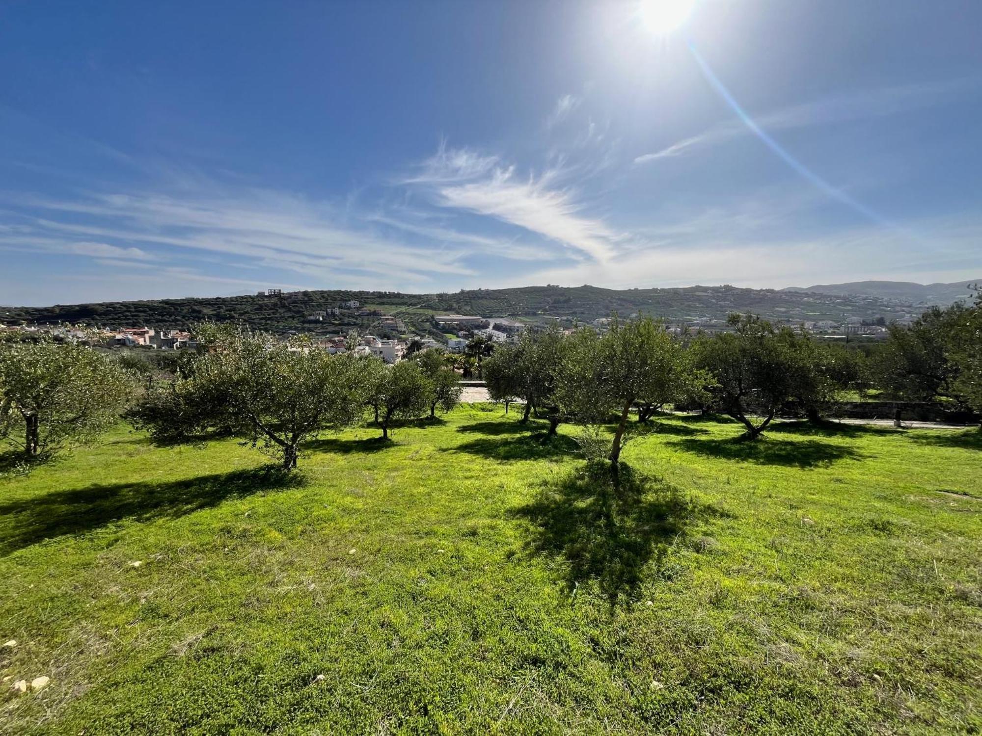 The Olive Grove Cottage With Private Swimming Pool Archanes Exterior photo