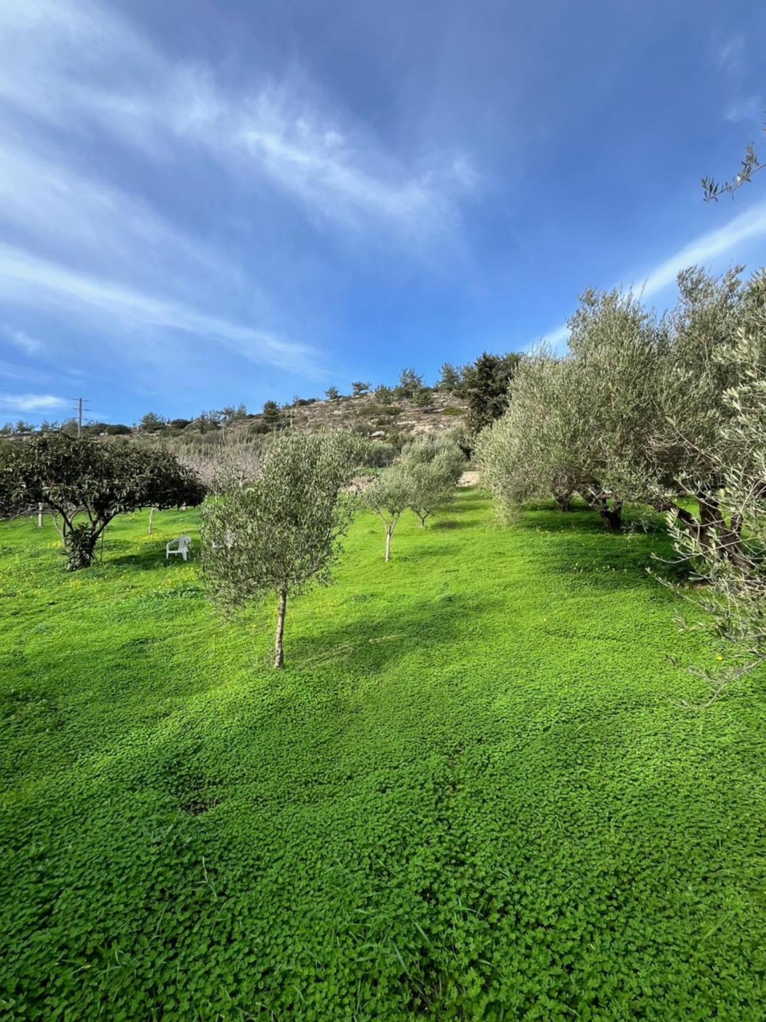 The Olive Grove Cottage With Private Swimming Pool Archanes Exterior photo