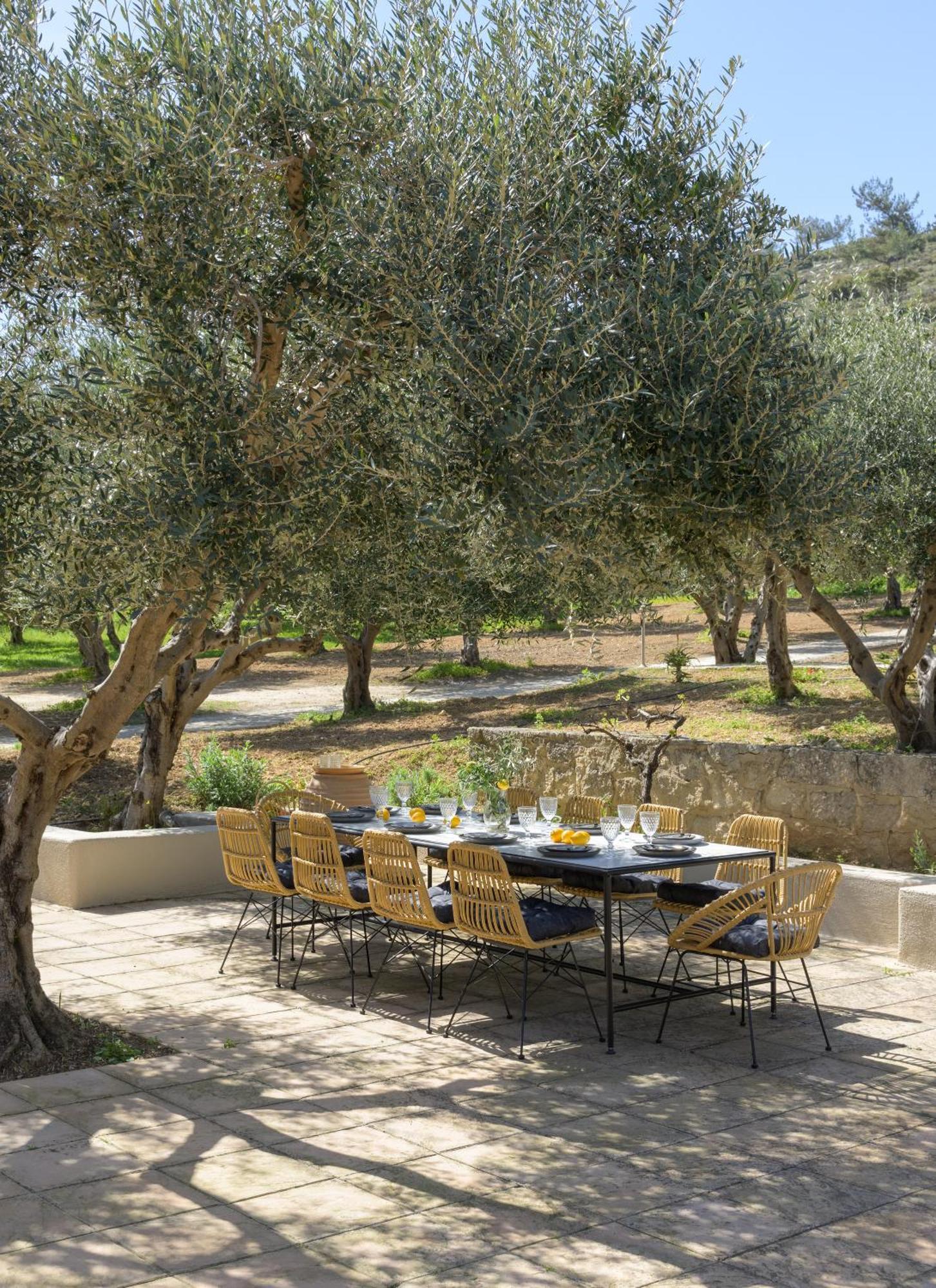 The Olive Grove Cottage With Private Swimming Pool Archanes Exterior photo